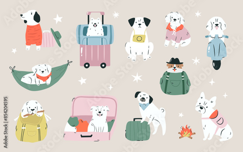 Set of different dogs ready for travelling, adventures