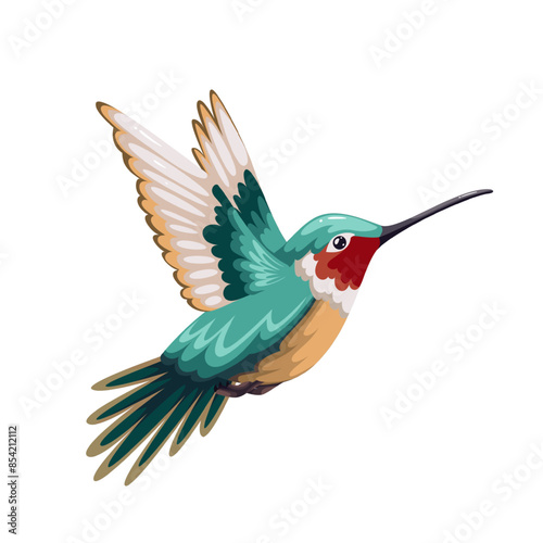 Cute cartoon hummingbird, tropical humming bird. Flight of small rainbow colibri in exotic garden, nature of paradise. Freedom mascot, cartoon hummingbird with bright feathers vector illustration