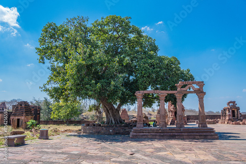 Ancient Indian Menal Shiv Temple featuring intricate carvings and vibrant floral foreground, Rajasthan, India photo