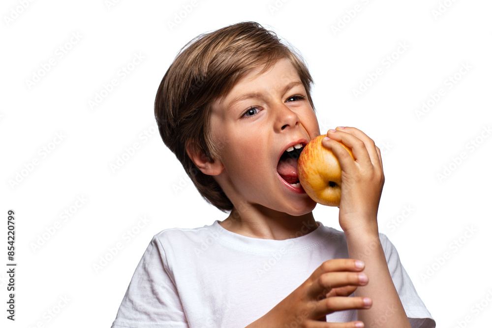 Portrait of handsome boy eating apple, isolated on white background Portrait of handsome boy eating apple, isolated on white background