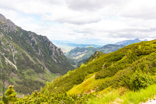 Fototapeta Naklejka Na Ścianę i Meble -  nature and Tatra mountains in Poland during the summer day