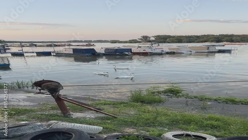 boats in the harbor