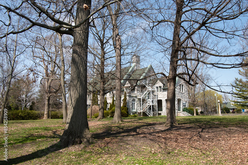 trees in the park