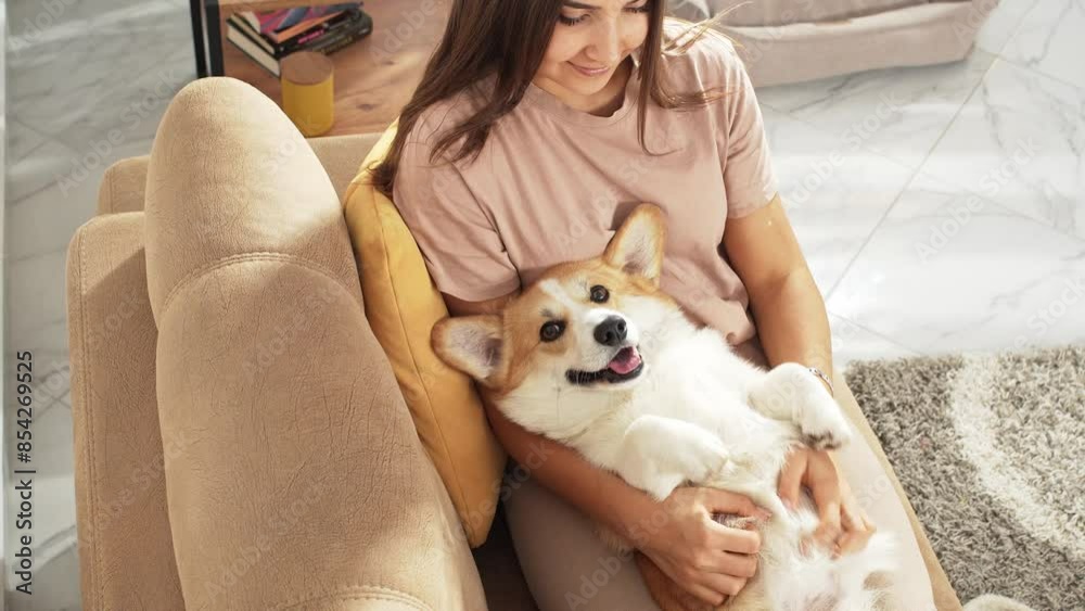 Joy emanates from a woman playing with her corgi dog on a sofa. Sunlight filters in as she tickles her delighted Pembroke Welsh Corgi, creating a playful, cheerful moment at home Joy emanates from a woman playing with her corgi dog on a sofa. Sunlight filters in as she tickles her delighted Pembroke Welsh Corgi, creating a playful, cheerful moment at home