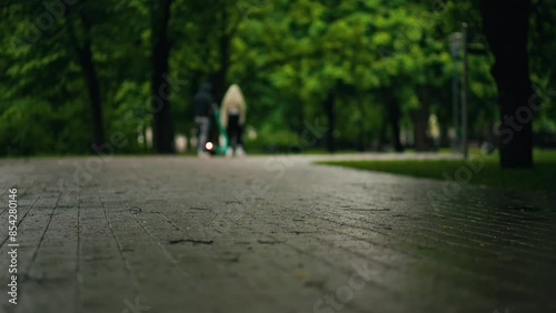 Wallpaper Mural Enjoy a peaceful walk in a serene park surrounded by lush greenery, moving slowly as if in a soothing slowmotion clip Torontodigital.ca