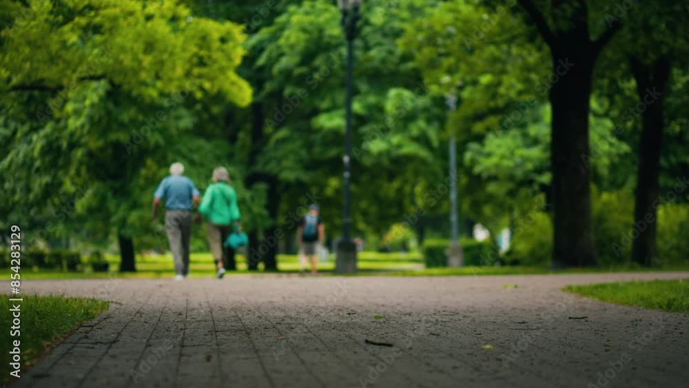 Elderly couple walking in a verdant park, showing harmony and companionship in natures tranquility Elderly couple walking in a verdant park, showing harmony and companionship in natures tranquility