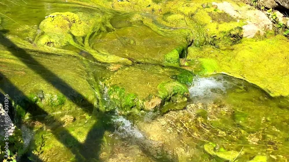 A river that is not deep, containing fine silt A river that is not deep, containing fine silt