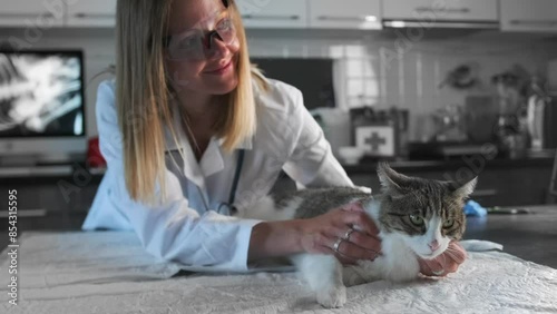 Cute cat enjoys being stroked by a veterinarian while lying on a medical table in a special animal clinic, close-up. Vet employee work, checkup and animal treatment. photo