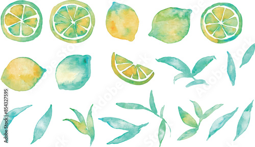 水彩画。水彩タッチのレモンベクターイラスト。夏のレモン背景。夏のレモンフレーム。Watercolor painting. Lemon vector illustration with watercolor touch. Summer lemon background. Summer lemon frame.