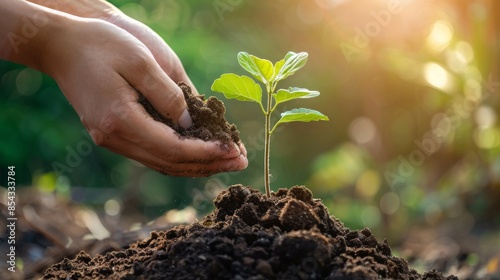 Wallpaper Mural CO2 emission reduction concept, clean and friendly environment without carbon dioxide emissions. Planting trees to reduce CO2 emissions, environmental protection concept Torontodigital.ca