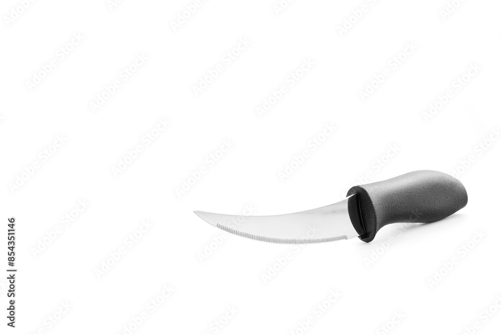 Fototapeta premium kitchen home knife with serrated blade and black handle
