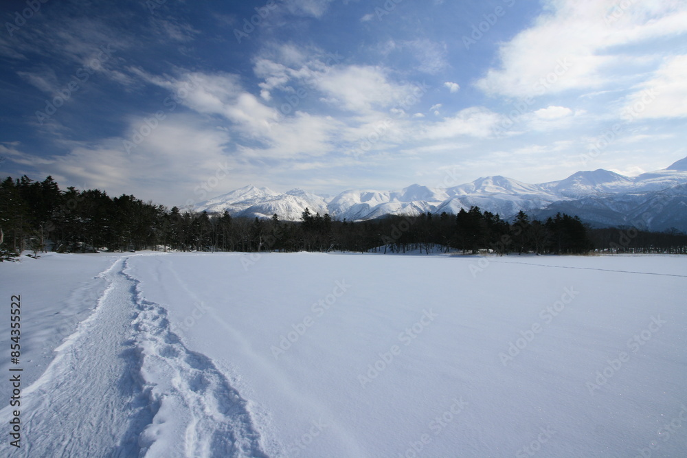winter landscape with snow