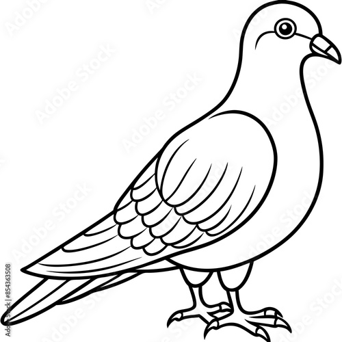 Vector illustration of a pigeon