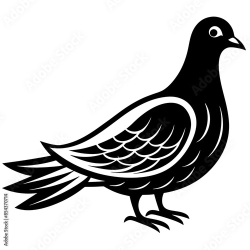 Vector illustration of a pigeon