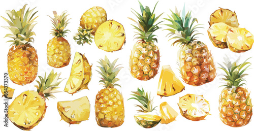 pineapple watercolor clipart	