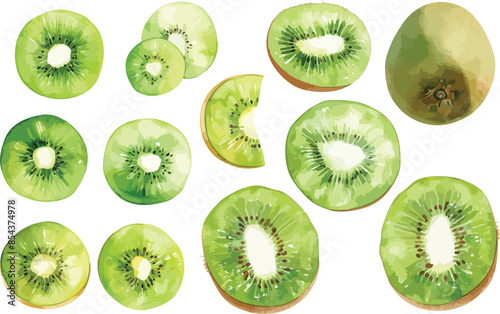 kiwi watercolor clipart	