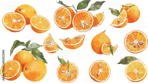 orange watercolor clipart	