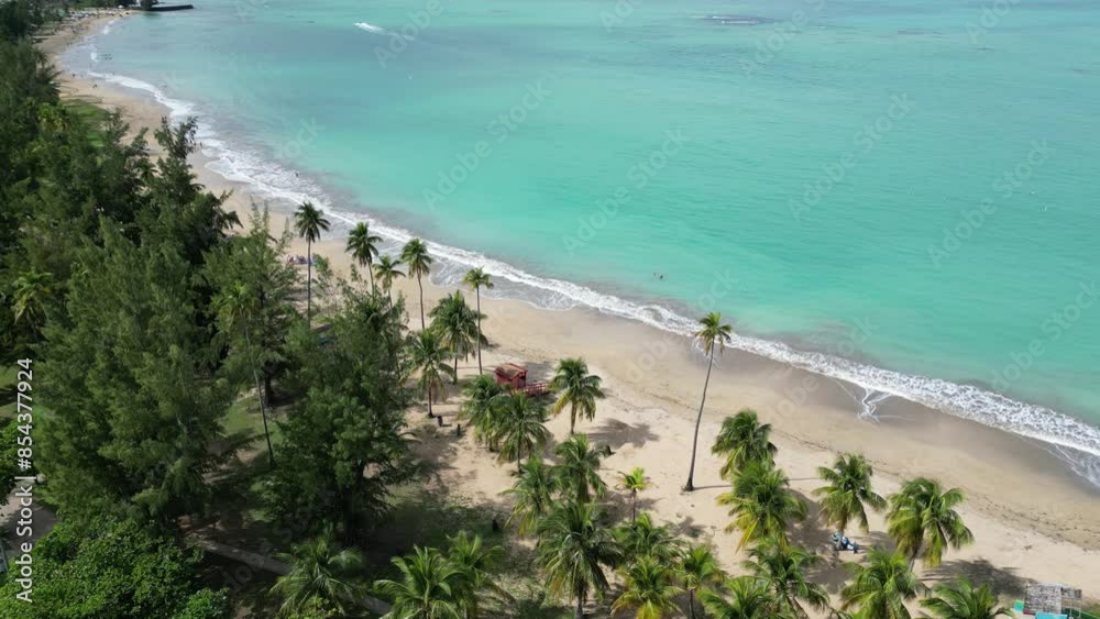 waves crashing on sandy beach in puerto rico (luquillo surf coast coastline) caribbean travel vacation sand getaway (palm trees, hills, kiosk, aerial drone footage) beautiful paradise scenic landscape waves crashing on sandy beach in puerto rico (luquillo surf coast coastline) caribbean travel vacation sand getaway (palm trees, hills, kiosk, aerial drone footage) beautiful paradise scenic landscape