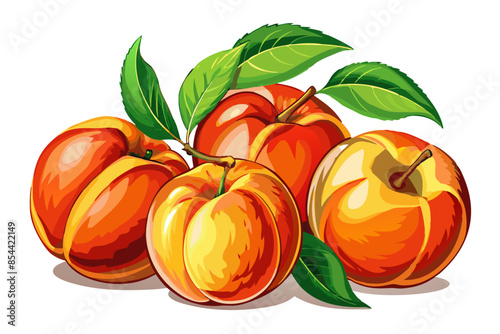 illustration of peaches on a branch