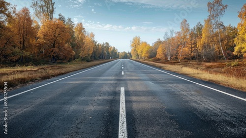 Scenic Autumn Road Through Colorful Forest with Clear Sky and Vibrant Foliage