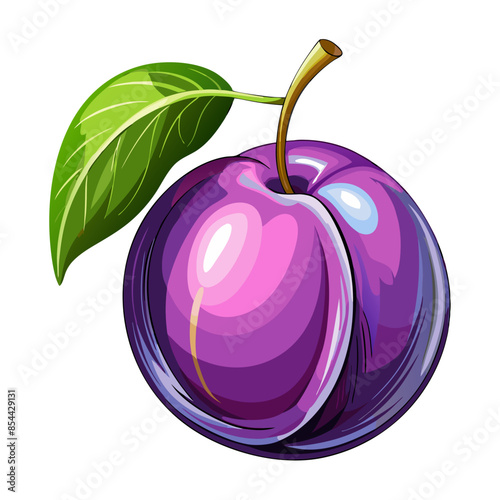 illustration of plum