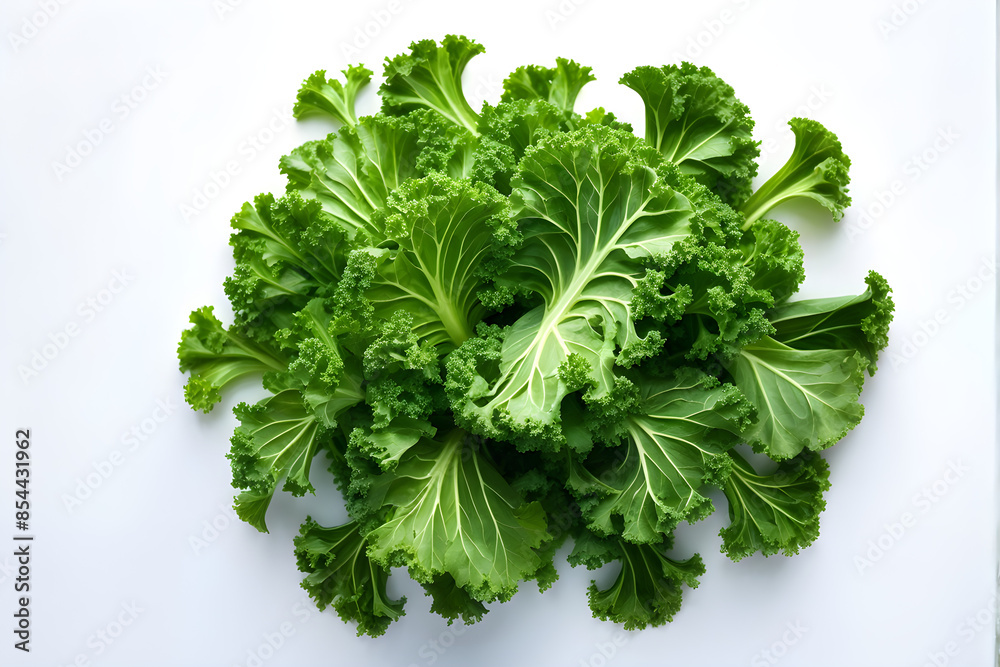 Fototapeta premium Kale placed against a white background. View from directly above.