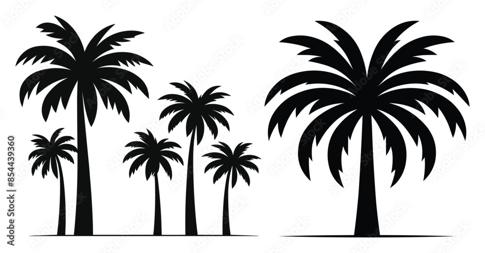Set of Palm Tree silhouettes vector illustration Isolated on White Background Set of Palm Tree silhouettes vector illustration Isolated on White Background