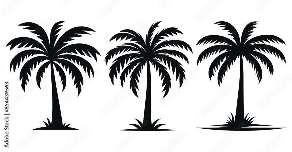 Fototapeta premium Set of Palm Tree silhouettes vector illustration Isolated on White Background