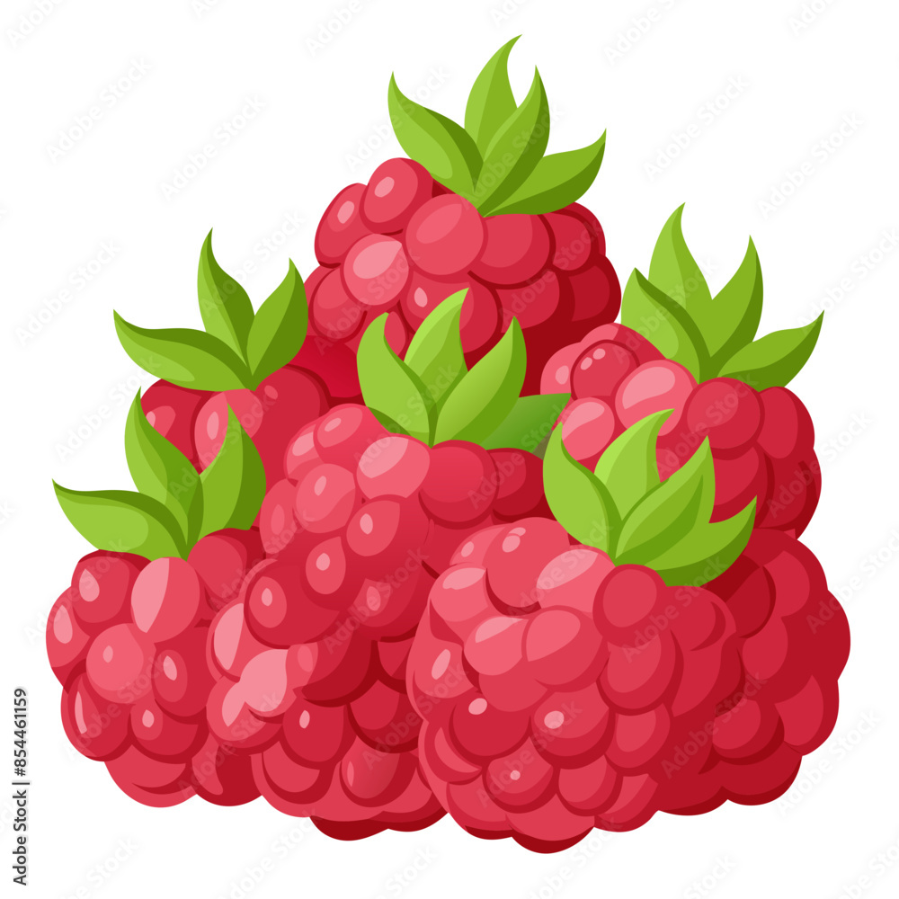 raspberry with leaves raspberry with leaves