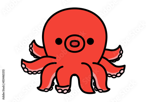  海のいきもの　タコ