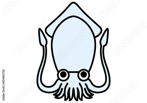  海のいきもの　イカ