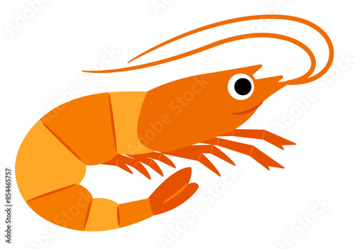  海のいきもの　エビ