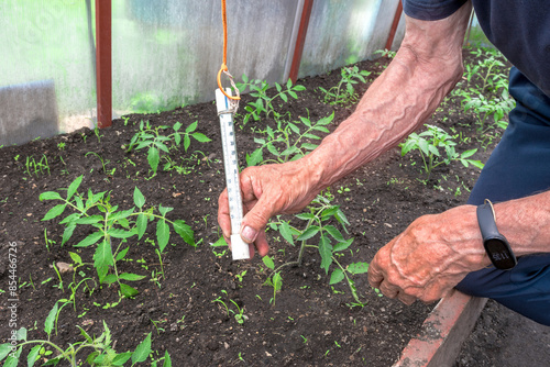 An elderly male gardener is measuring the air temperature inside a greenhouse.