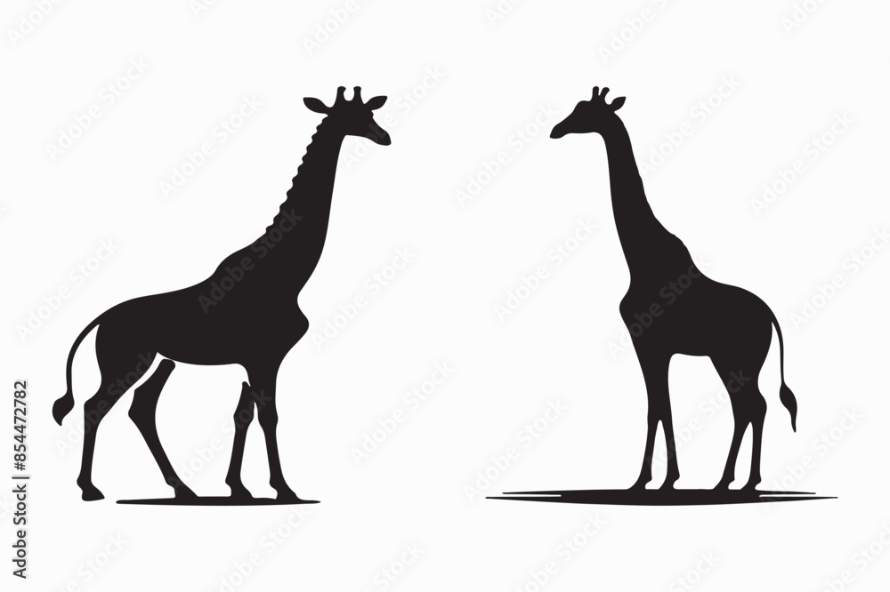 GiraffeSilhouette vector Illustration And artwork GiraffeSilhouette vector Illustration And artwork