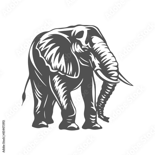 illustration of an elephant