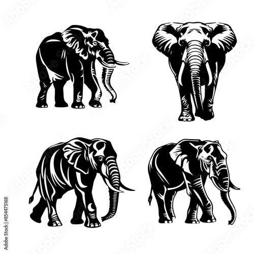 illustration of an elephant