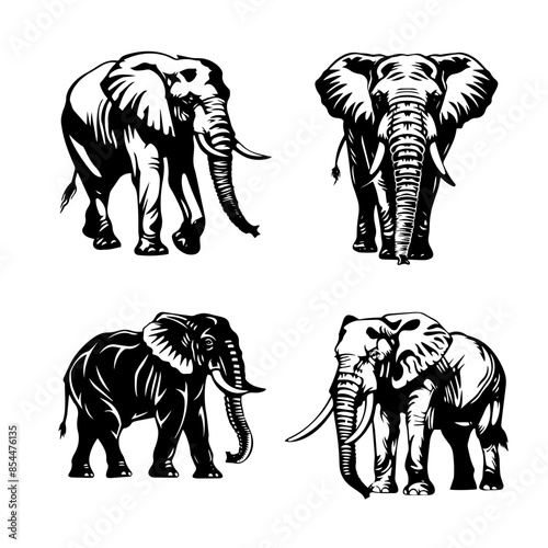 illustration of an elephant
