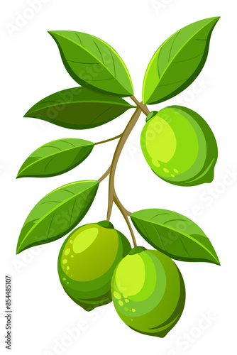 Wallpaper Mural lime with leaves on branch Torontodigital.ca