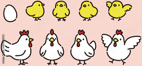 シンプルでかわいい鶏とひよこのイラストセット