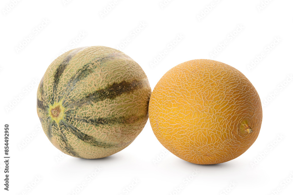 Different whole sweet melons on white background Different whole sweet melons on white background