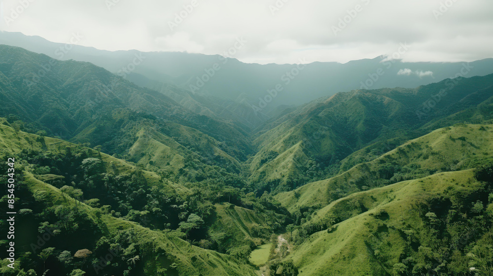 Fototapeta premium Serene aerial view captures lush rainforest and majestic mountains under drifting clouds.