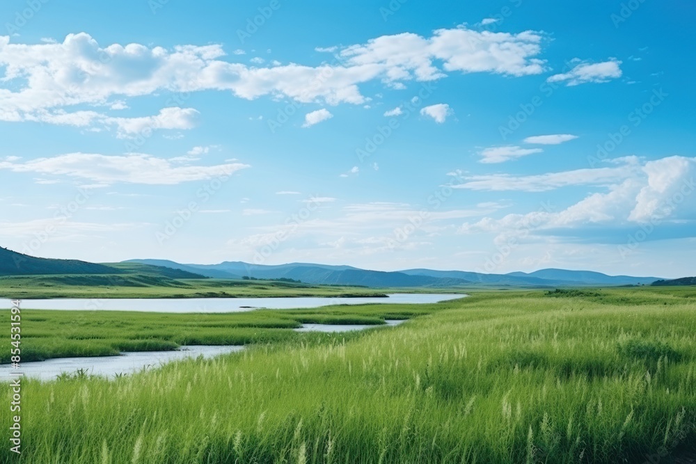 Obraz premium Landscape grass grassland outdoors.