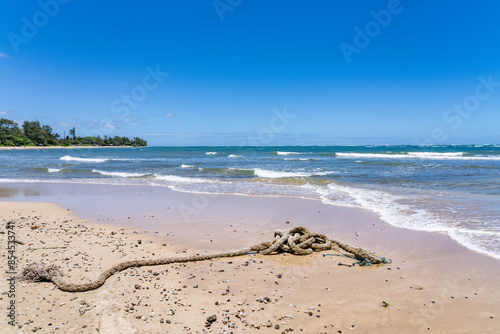 Punaluu Beach，Windward Coast of Oahu, Hawaii.  Marine debris / marine litter washed up on a beach 
 photo