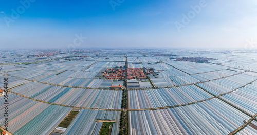 Shouguang greenhouse