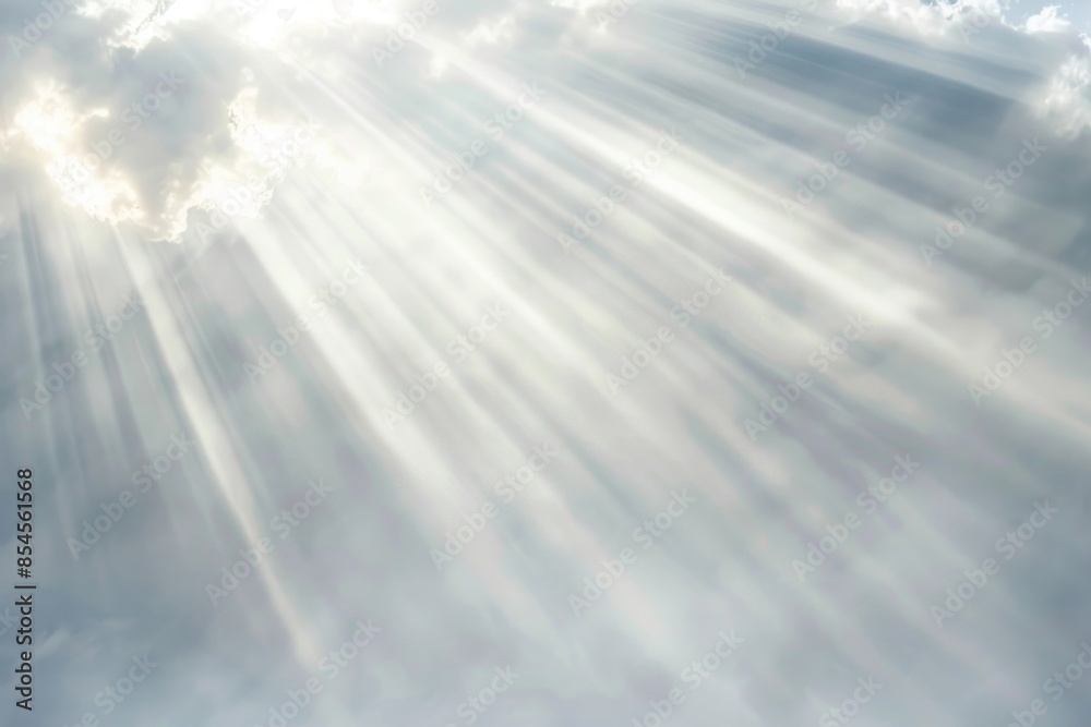 Fototapeta premium Holy light sunlight outdoors nature.