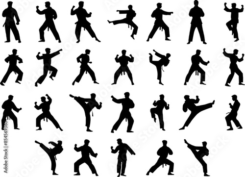 collection of Illustration Taekwondo athlete silhouette. Silhouette of martial art
