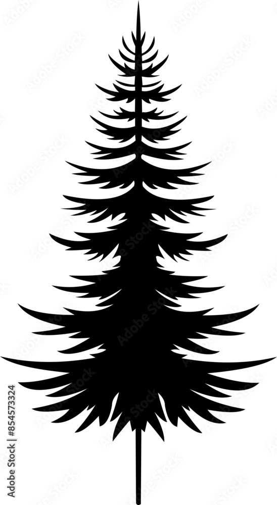 Fototapeta premium Pine Tree Silhouette