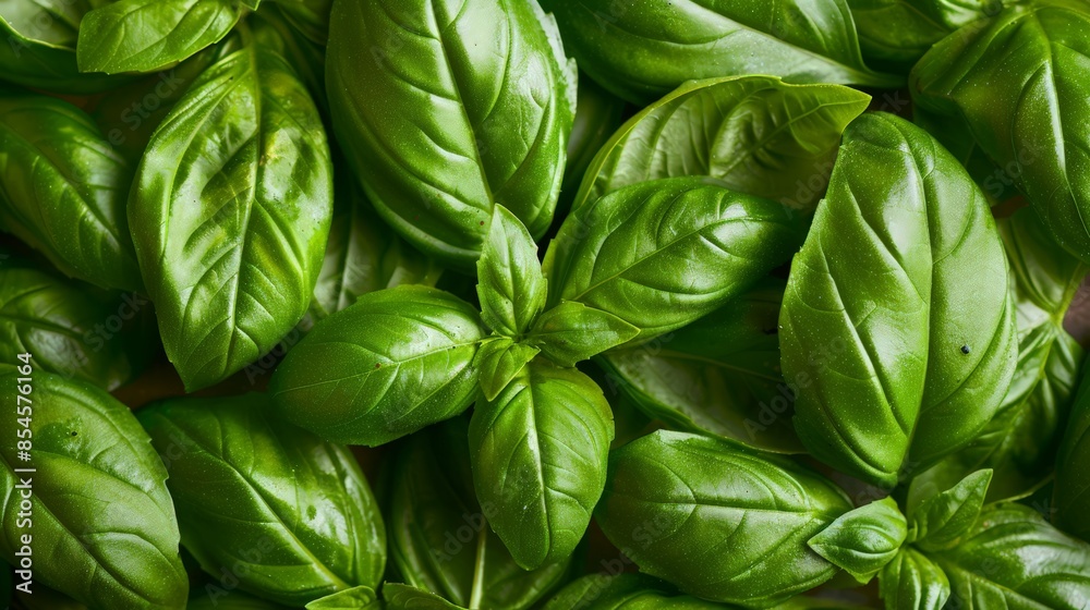 Fresh basil, added to a pizza after baking, enhances the flavor with its aromatic scent. Fresh basil, added to a pizza after baking, enhances the flavor with its aromatic scent.