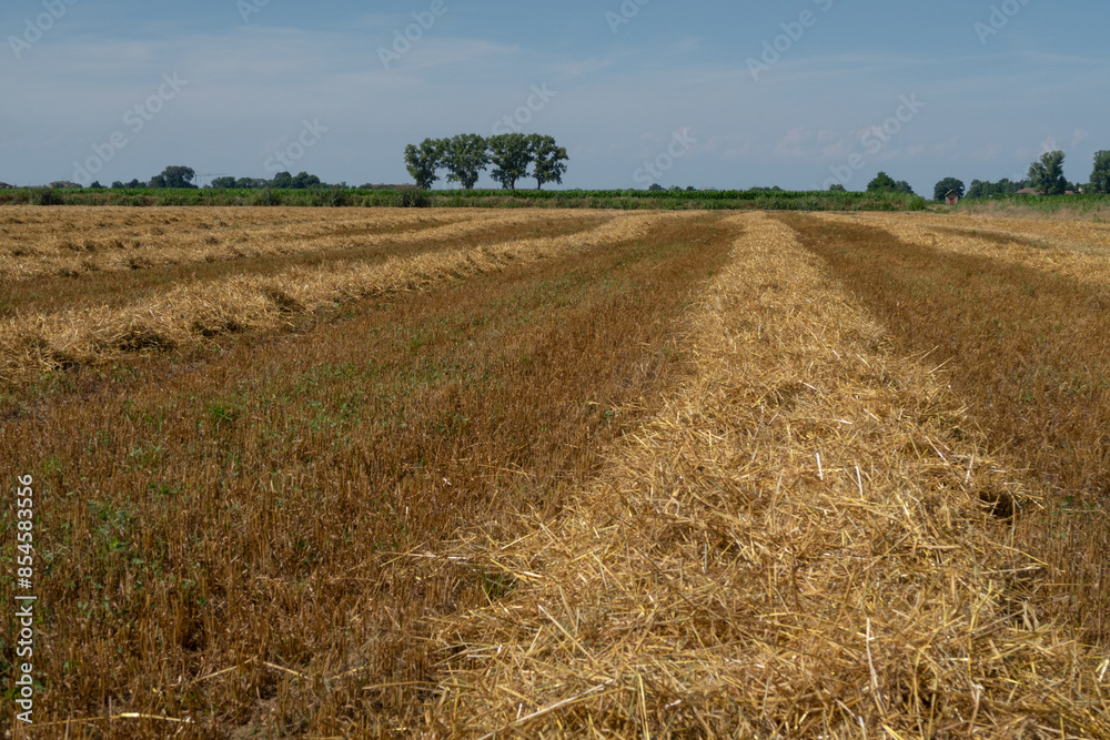 Po Valley