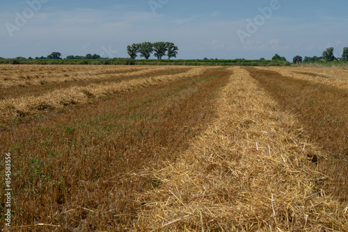 Obraz na płótnie Po Valley w salonie